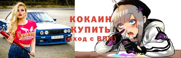 Альфа ПВП Ельня