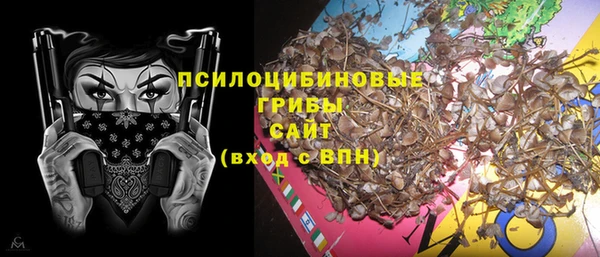 Альфа ПВП Ельня