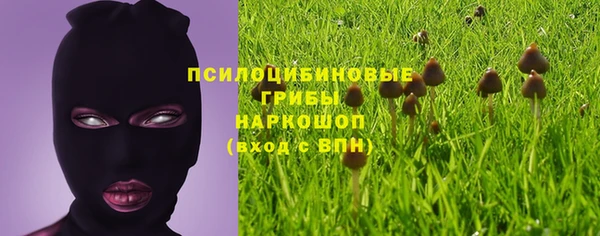 спайс Елабуга