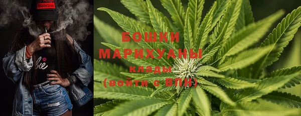 МДПВ Заводоуковск
