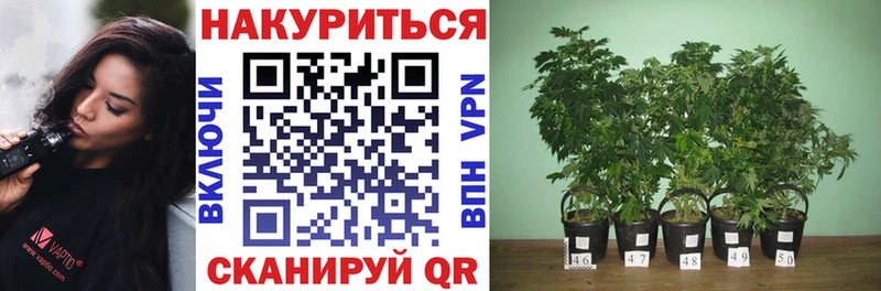 МАРИХУАНА индика  Купить закладки  Макаров 